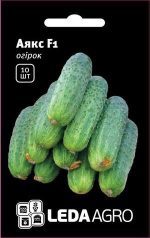 Огірок 
