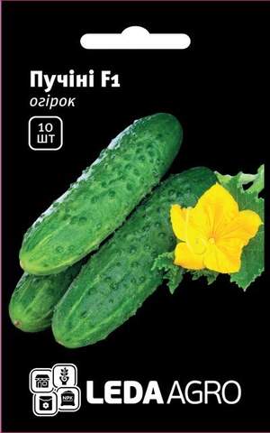Огірок 