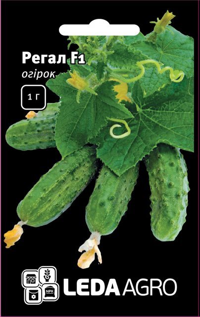 Огірок Огірок