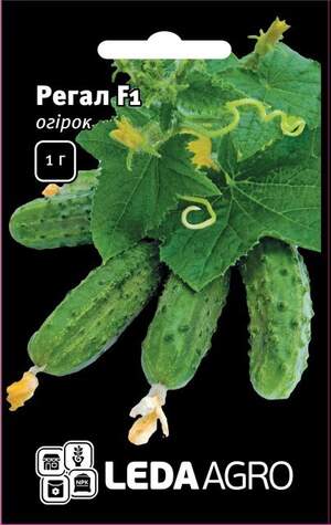 Огірок "Регал" F1 1г. L (Клоз / Clause)