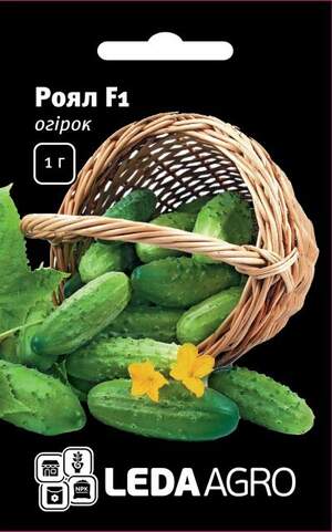 Огірок "Роял" F1 – 1г. L (Клоз / Clause)
