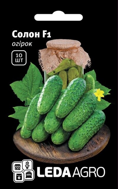 Огірок "Солон" F1 10 семена L (Yuksel Seeds) Огірок "Солон" F1 10 семена L (Yuksel Seeds)