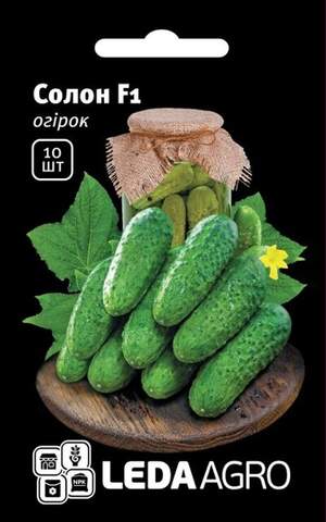 Огірок "Солон" F1 10 семена L (Yuksel Seeds)