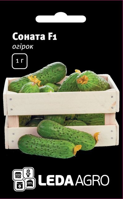 Огірок Соната F1 – 1г. L (Рійк Цваан/Rijk Zwaan) Огірок Соната F1 – 1г. L (Рійк Цваан/Rijk Zwaan)