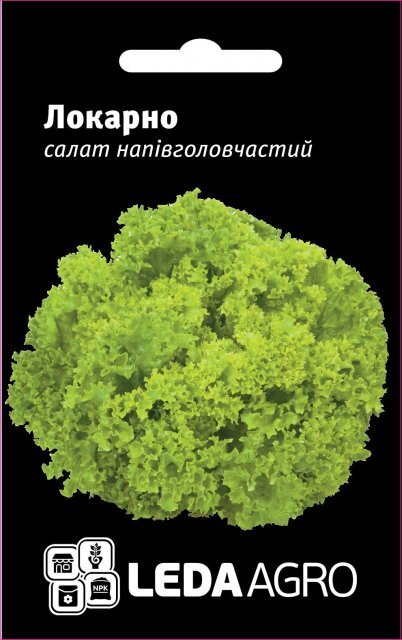 Салат "Локарно" - 100 семена L (Рійк Цваан/Rijk Zwaan) Салат "Локарно" - 100 семена L (Рійк Цваан/Rijk Zwaan)
