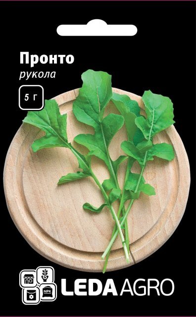 Рукола Рукола