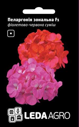 Пеларгонія зональна F1 суміш. 5 семена Л (Cherny Чехія)