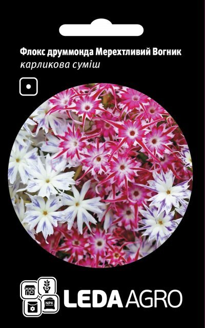 Флокс друмонда "Міготливий вогник" 0,2 г. L (Hem Zaden BV Netherlands) Флокс друмонда "Міготливий вогник" 0,2 г. L (Hem Zaden BV Netherlands)