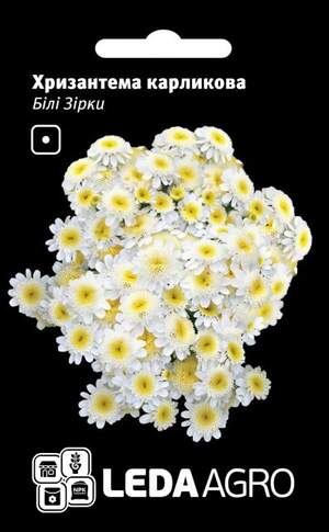Хризантема карликова Білі зірки 0,2 г. L (Hem Zaden BV Netherlands)