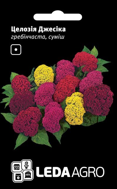 Целозія Джессіка, гребінчаста суміш 0.01 г. L (Hem Zaden BV Netherlands) Целозія Джессіка, гребінчаста суміш 0.01 г. L (Hem Zaden BV Netherlands)