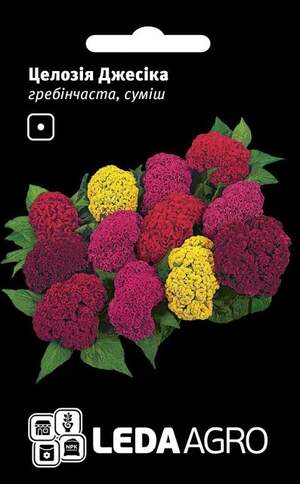 Целозія Джессіка, гребінчаста суміш 0.01 г. L (Hem Zaden BV Netherlands) Целозія Джессіка, гребінчаста суміш 0.01 г. L (Hem Zaden BV Netherlands)