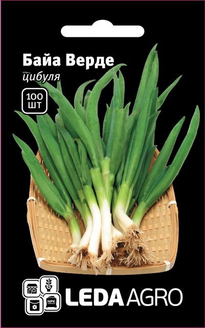 Лук Байа Верде на перо F1 100 семена L (Семініс / Seminis) Лук Байа Верде на перо F1 100 семена L (Семініс / Seminis)