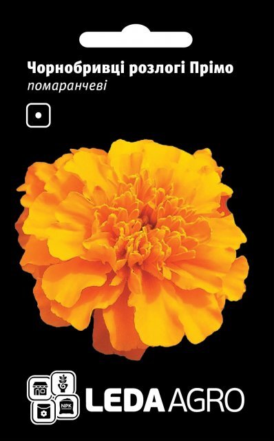 Чорнобривці Прімо оранжеві 0.2 г L (Hem Zaden BV Netherlands) Чорнобривці Прімо оранжеві 0.2 г L (Hem Zaden BV Netherlands)