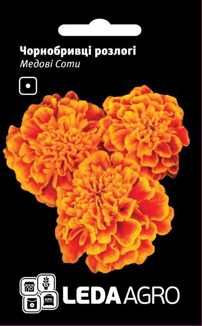 Чорнобривці Медові стільники 0.2 г. L (Hem Zaden BV Netherlands) Чорнобривці Медові стільники 0.2 г. L (Hem Zaden BV Netherlands)