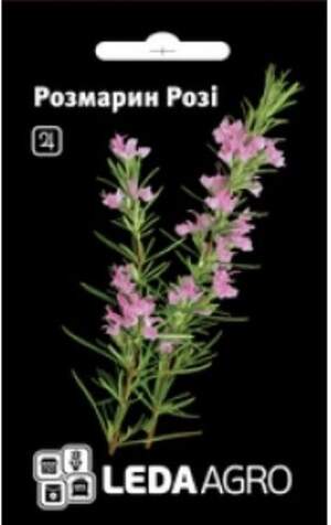 Розмарин 