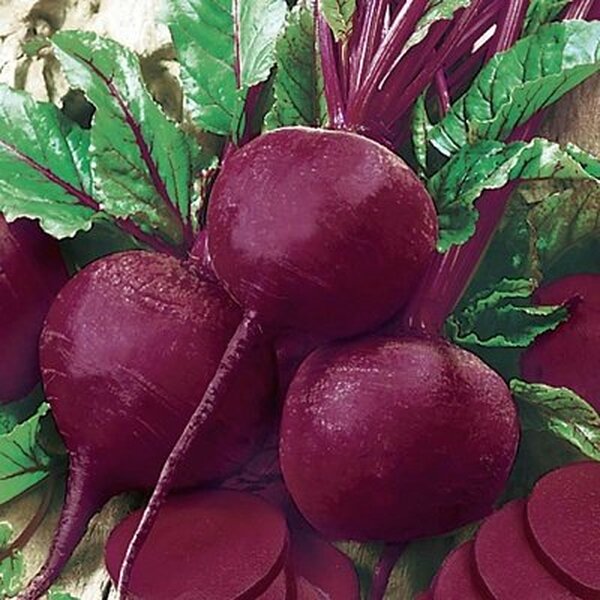 Буряк столовий Ларка (2,75-3,5) 25 000 нас. (Rijk Zwaan) Буряк столовий Ларка (2,75-3,5) 25 000 нас. (Rijk Zwaan)