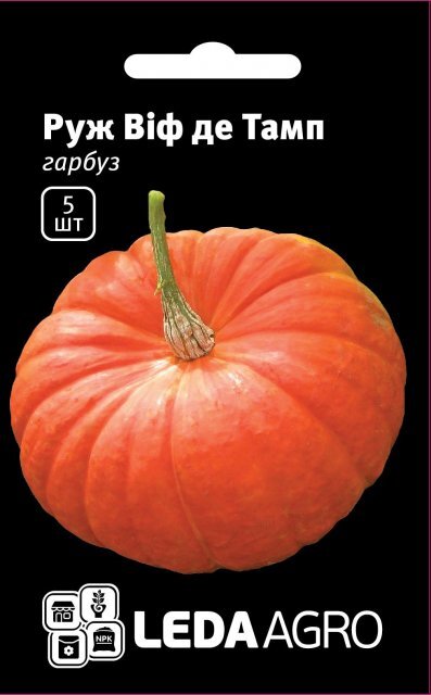 Гарбуз Гарбуз