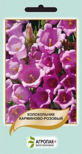 Дзвіночок Карміново-рожевий 0,1 грам А Дзвіночок Карміново-рожевий 0,1 грам А