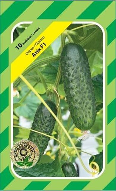 Огірок Огірок