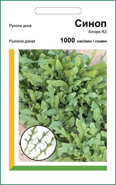 Рукола дика "Синоп" 1000 с. Рік Цваан, (Rijk Zwaan) Рукола дика "Синоп" 1000 с. Рік Цваан, (Rijk Zwaan)