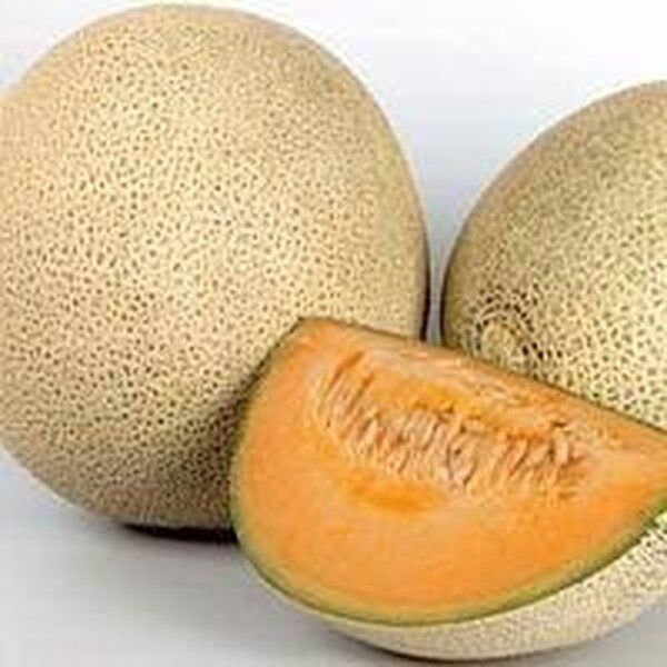 Диня Делано F1 - 5 насіння Л (Nunhems) Диня Делано F1 - 5 насіння Л (Nunhems)