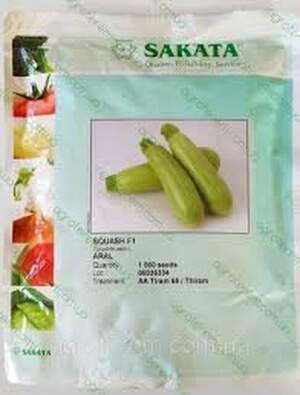 Кабачок "Арал" F1 1000 с. L (Sakata)