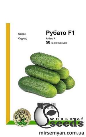 Огірок "Рубато" F1 – 50 с. (Rijk Zwaan)