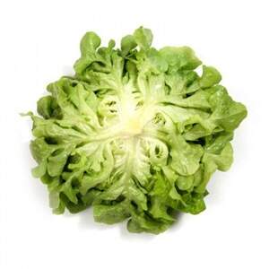 Салат "Кирінія / Kirinia" 1000 с. Рік Цваан, (Rijk Zwaan)