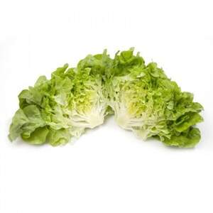 Салат "Кирінія / Kirinia" 1000 с. Рік Цваан, (Rijk Zwaan)