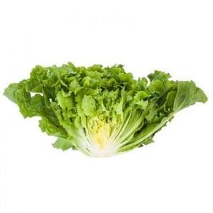 Салат Салат