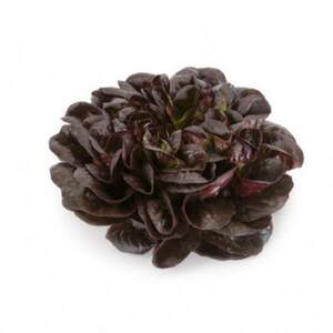 Салат "Клі/Klee" 1000 драже. Рік Цваан, (Rijk Zwaan)