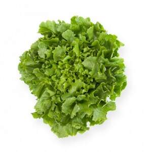 Салат "Кейтел/Kethel" 1000 драже. Рік Цваан, (Rijk Zwaan)