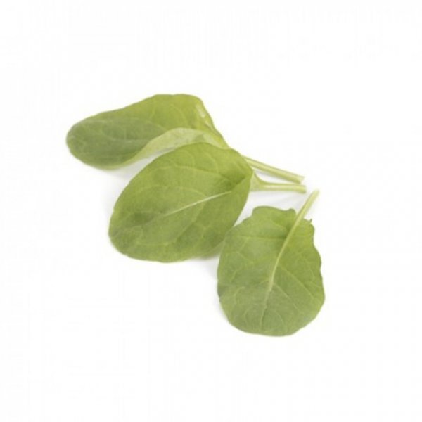 Рукола "Спаркл/Sparkle" 1 000 000 с. Рік Цваан, (Rijk Zwaan) Рукола "Спаркл/Sparkle" 1 000 000 с. Рік Цваан, (Rijk Zwaan)