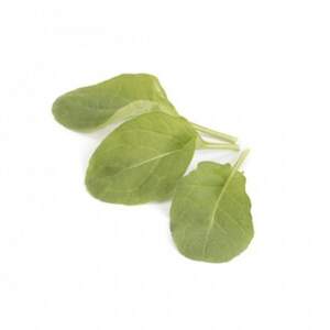 Рукола "Спаркл/Sparkle" 1 000 000 с. Рік Цваан, (Rijk Zwaan)