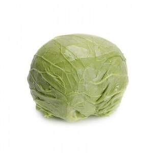 Капуста "Зарісіма F1/Zarissima RZ" F1 калібр. 2500 с. Рік Цваан, (Rijk Zwaan)