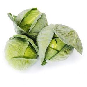 Капуста "Корсума" F1 калібрована - 2 500 насінин (Rijk Zwaan)