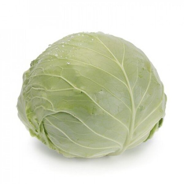 Капуста Капуста