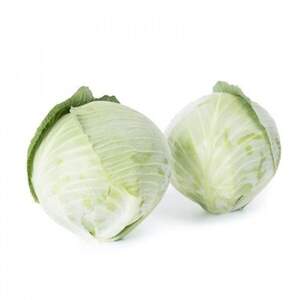 Капуста "Аксіома" F1 калібрована - 1 000 насінин (Rijk Zwaan)