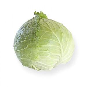 Капуста савойська Капуста савойська