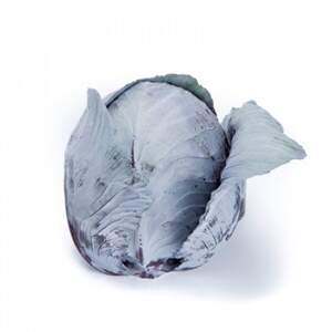 Капуста червонокачанна "Редма" калібрована F1 2 500 с. Рійк Цваан, (Rijk Zwaan)