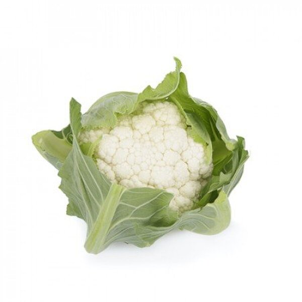 Капуста цвітна Капуста цвітна