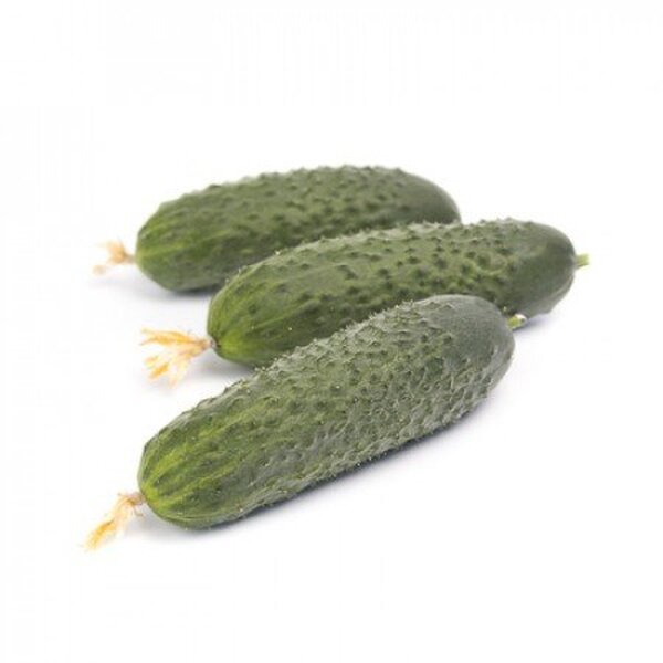 Огірок Огірок