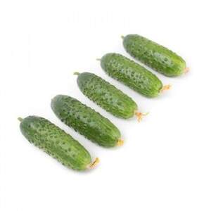 Огірок Огірок