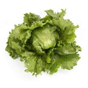 Салат качаний хрусткий "Мерлінас" 5 000 с. Рійк Цваан/(Rijk Zwaan)