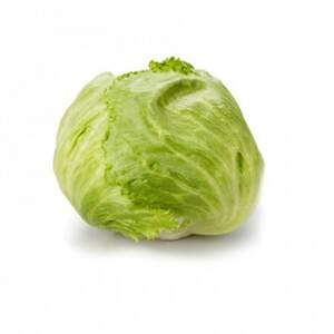 Салат качаний хрусткий "Сілвінас/Silvinas" 1 000 с. Рійк Цваан/(Rijk Zwaan)