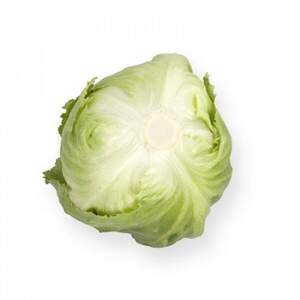 Салат качаний хрусткий "Сілвінас/Silvinas" 1 000 с. Рійк Цваан/(Rijk Zwaan)