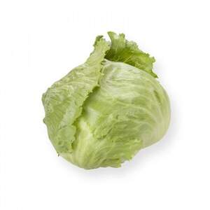 Салат качаний хрусткий "Сілвінас/Silvinas" 1 000 с. Рійк Цваан/(Rijk Zwaan)