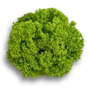 Салат "Лозано/Lozano" 5000 драже. Рік Цваан, (Rijk Zwaan)