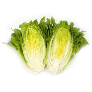 Салат "Октавіус/Octavius" 5000 драже. Рік Цваан, (Rijk Zwaan) Салат "Октавіус/Octavius" 5000 драже. Рік Цваан, (Rijk Zwaan)