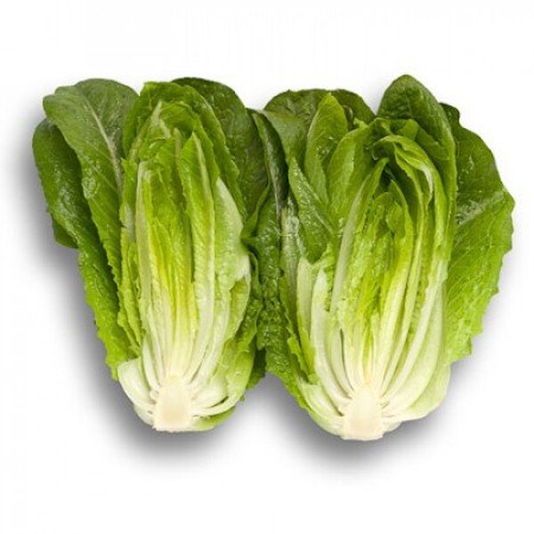 Салат Салат